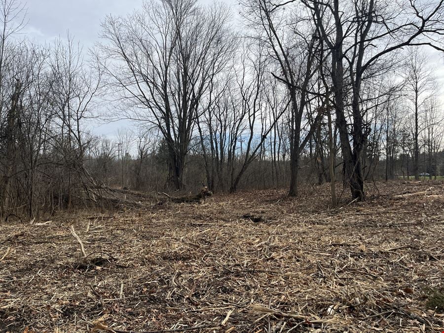 Vacant Land Opportunity for Sale - Chelsea