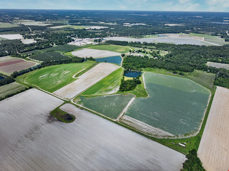 Ellenton Irrigated Farm