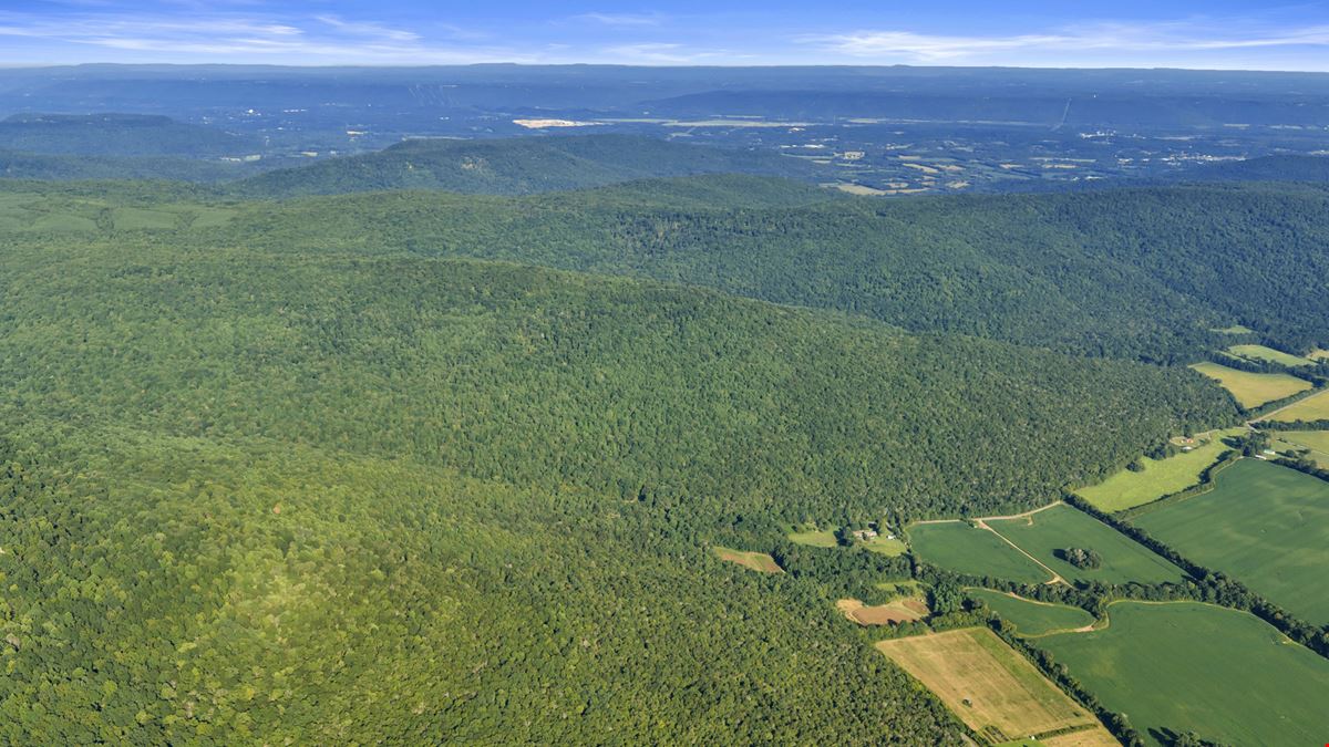 West Dempsey 339 Acres
