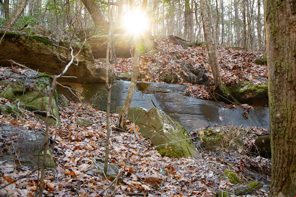 Smeltzer Mountain Road Tract One