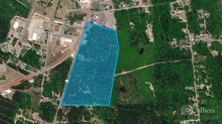±41.94 acres available for sale in Bamberg, SC