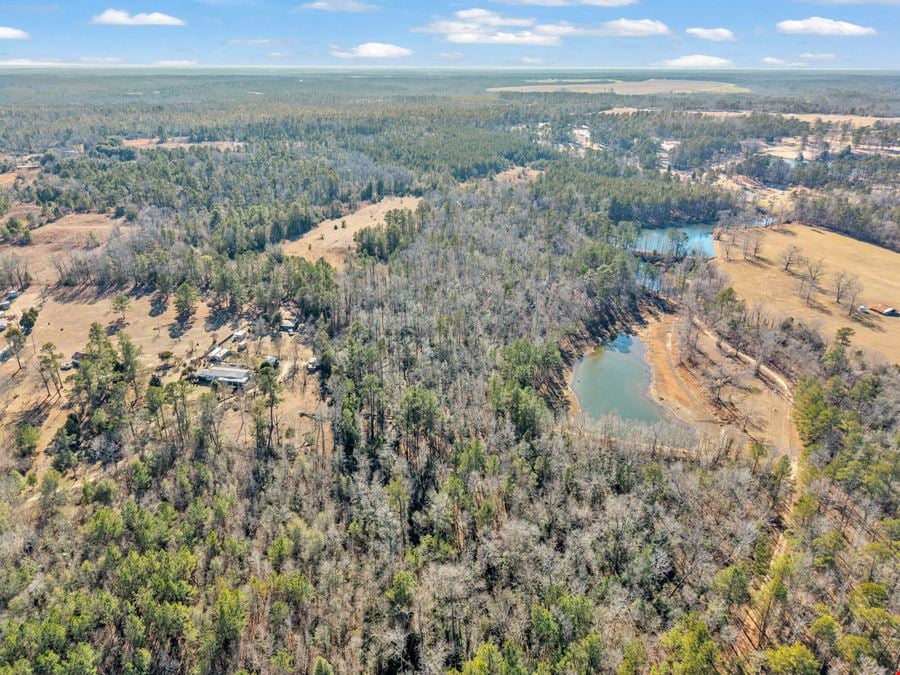221 Acres | 3.14 Acre Pond | Hephzibah, GA