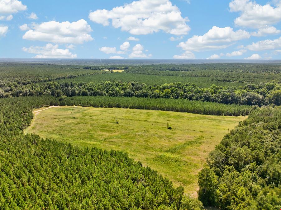Upper River Woods