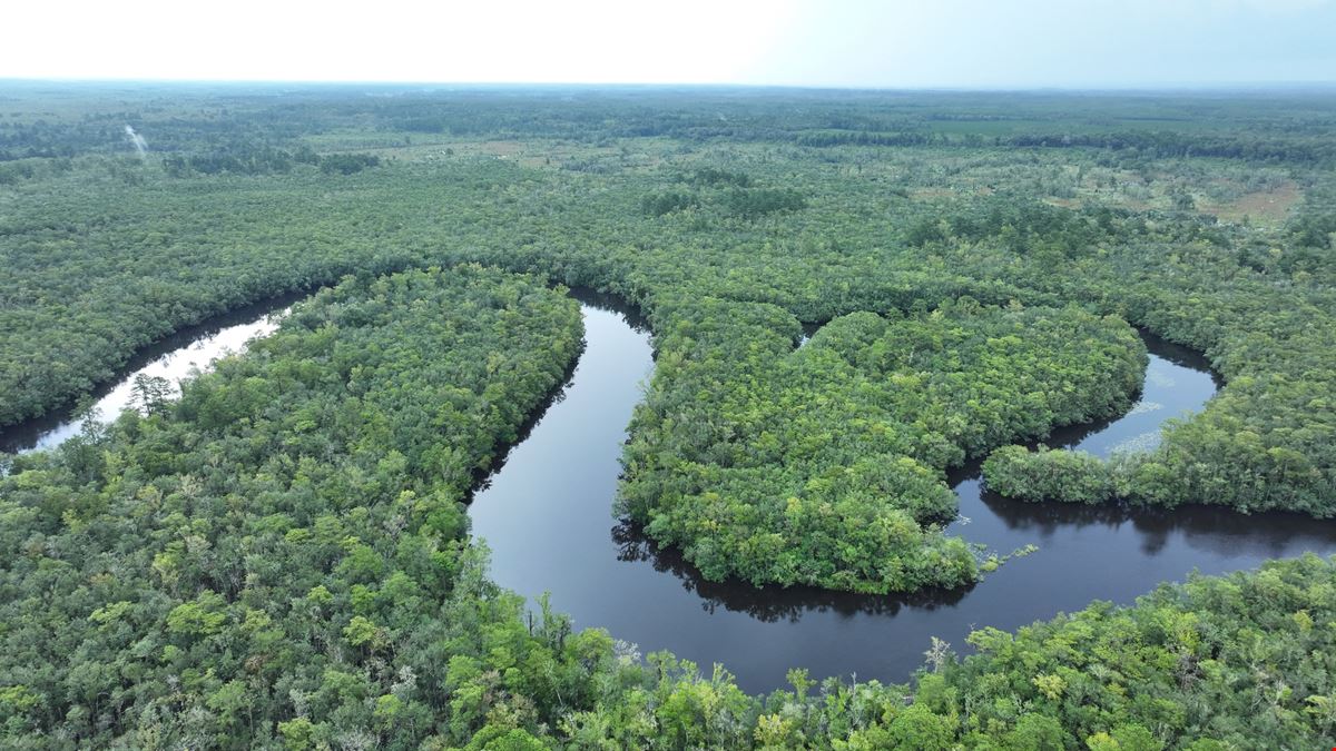 Camden Satilla River Tract