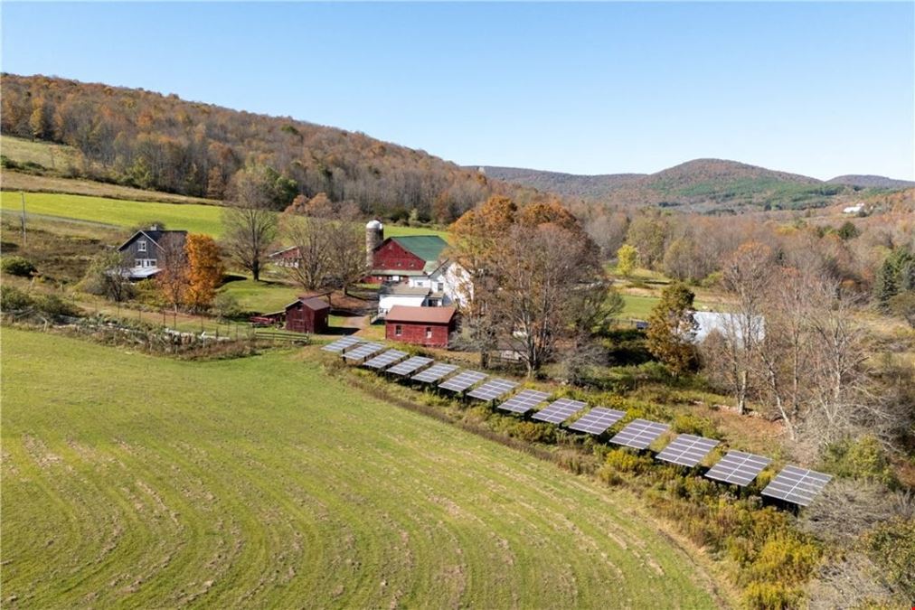 3536 New Kingston Mountain Rd