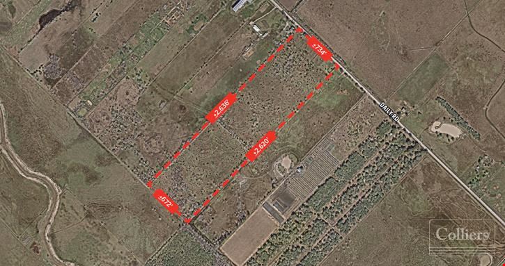 For Sale I +/- 40 Acres