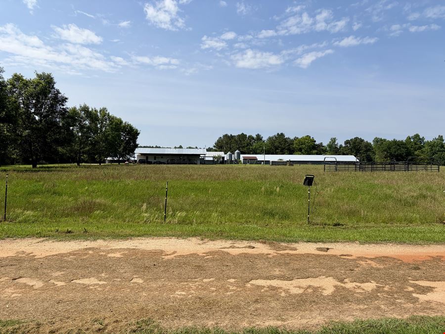 South Butler Springs Mini Farm