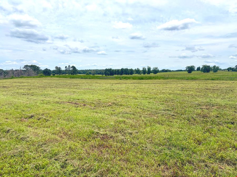 Rutledge Mini Farm
