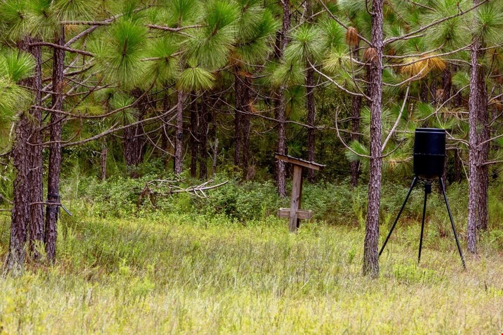 Buck Creek Whitetail Haven