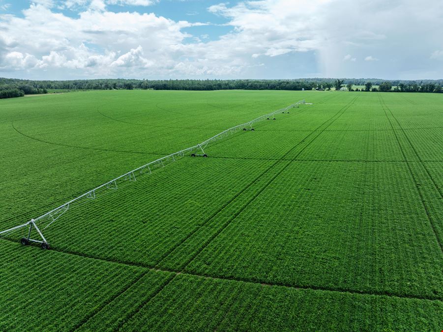 Rollings Farm - Madison County