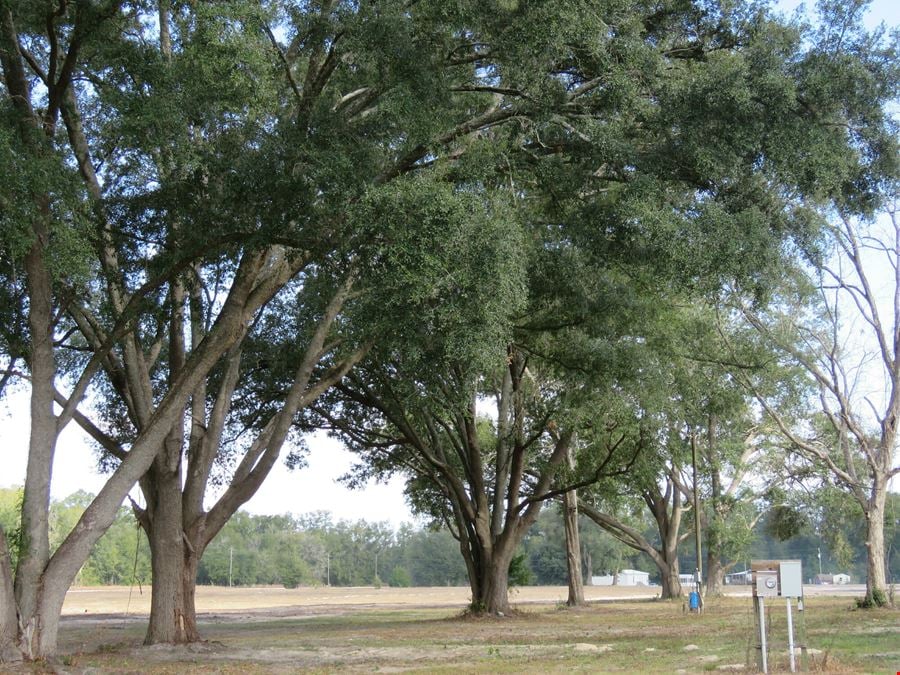 O'Brien 18 Acre Homestead