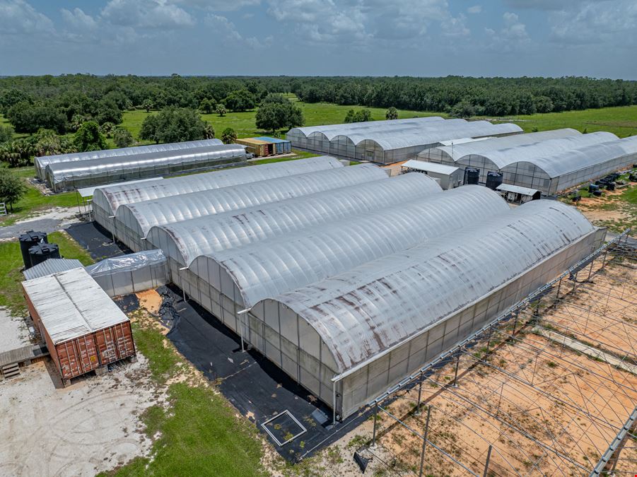 Polk County Citrus Nursery