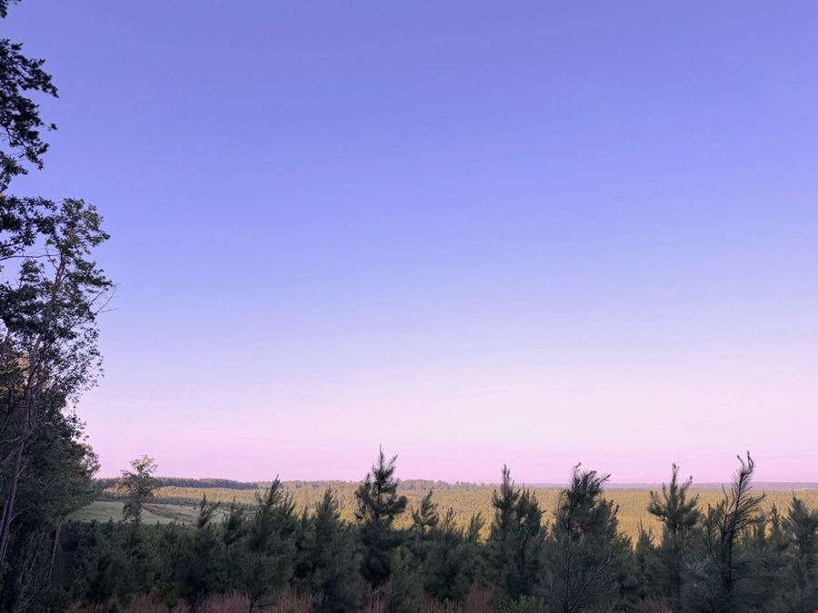 Jordan Andrews Tract