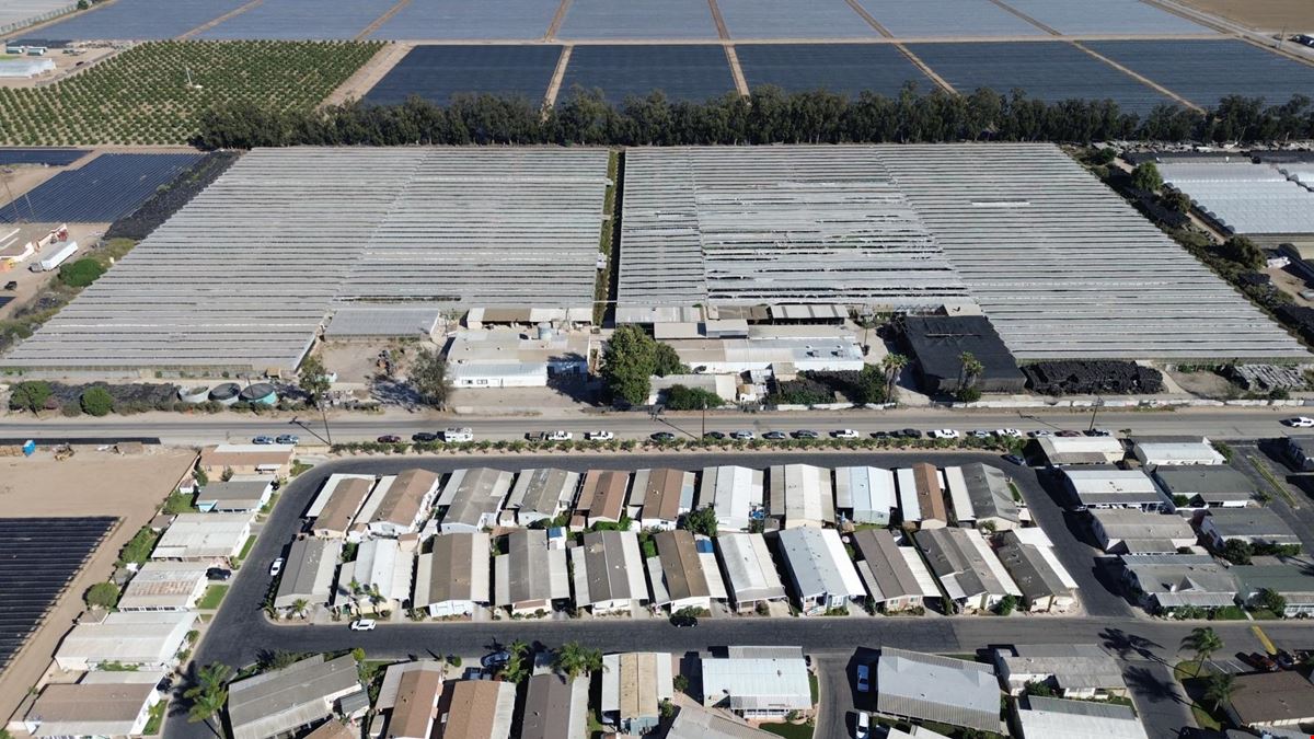 Dodge Rd Greenhouses