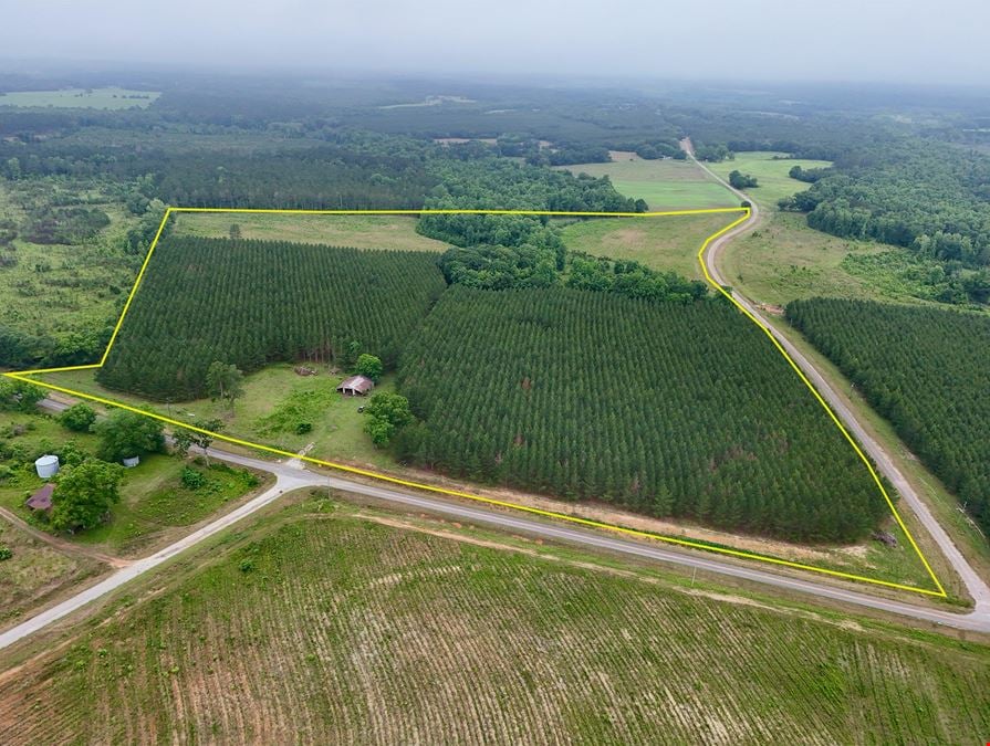 Searcy Branch Timber and Rec
