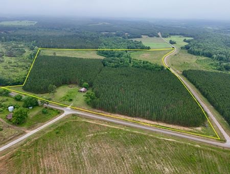 Preview of VacantLand space for Sale at 0 County Road 75