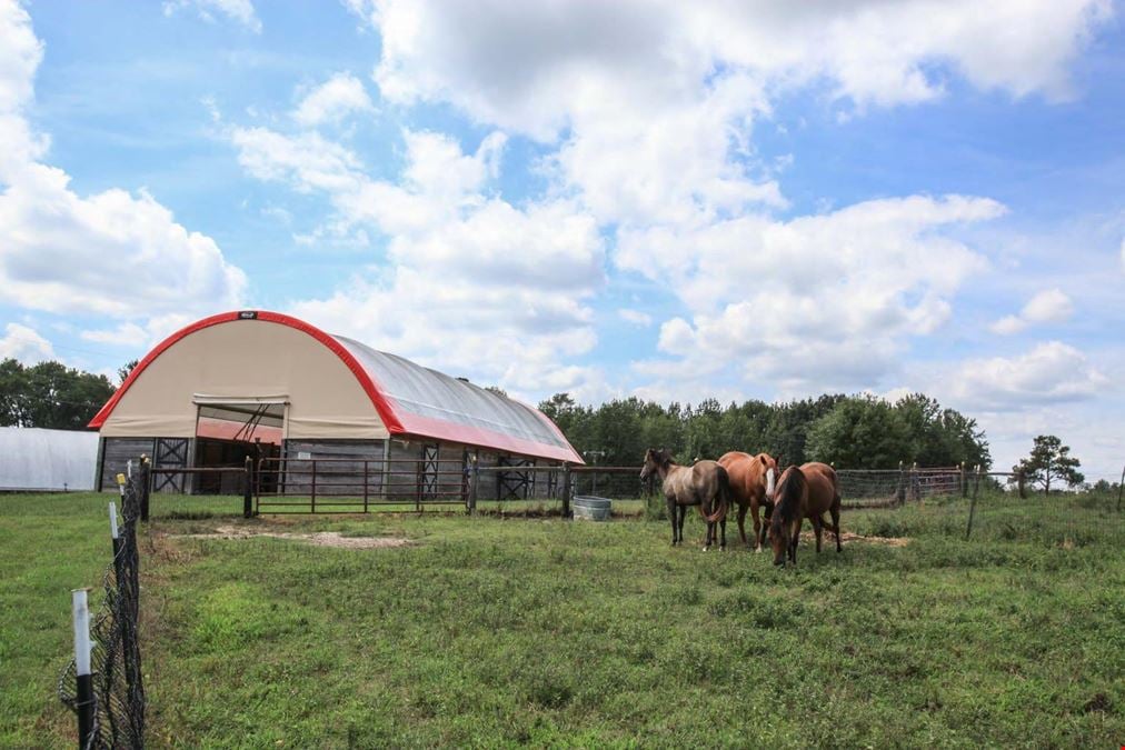 6,812 sf. home on 39 acres in Guntersville, AL