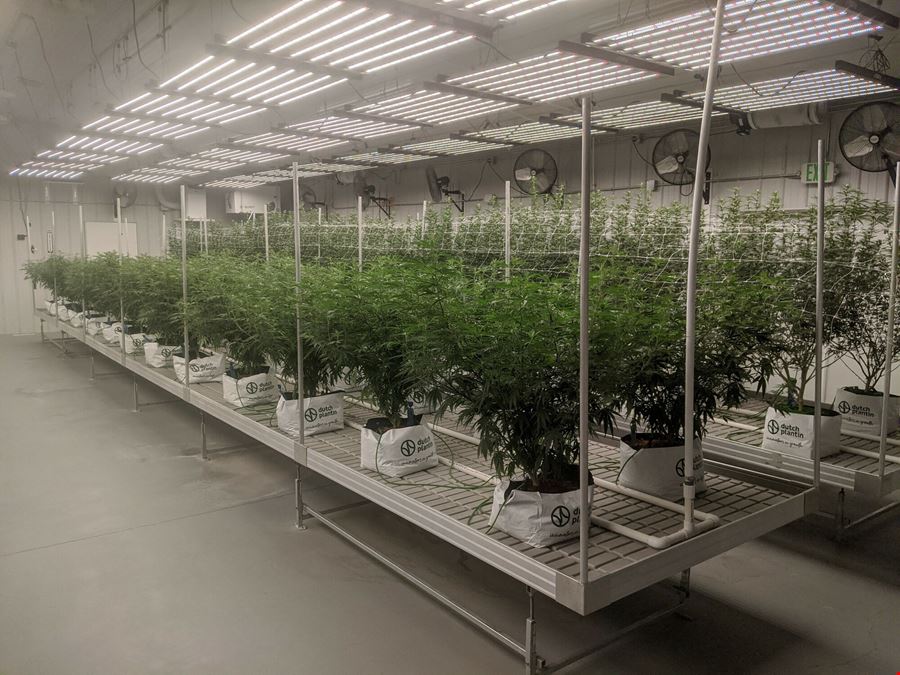 Edmore - Operating Cultivation Facility