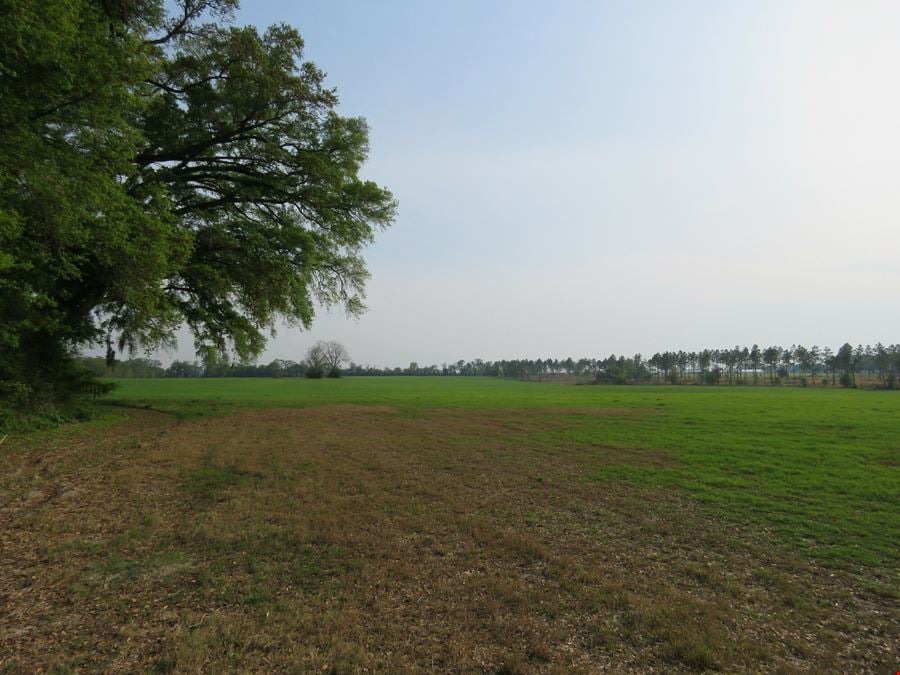 Suwannee County Farm