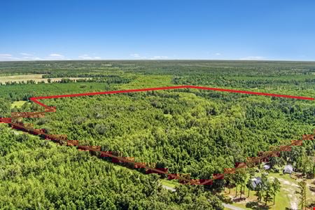 Preview of VacantLand space for Sale at NW CR 253