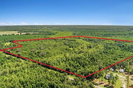 Preview of VacantLand space for Sale at NW CR 253