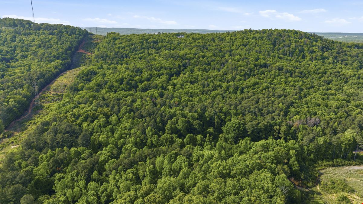 Bristow Gap 39 Acre Recreational Tract
