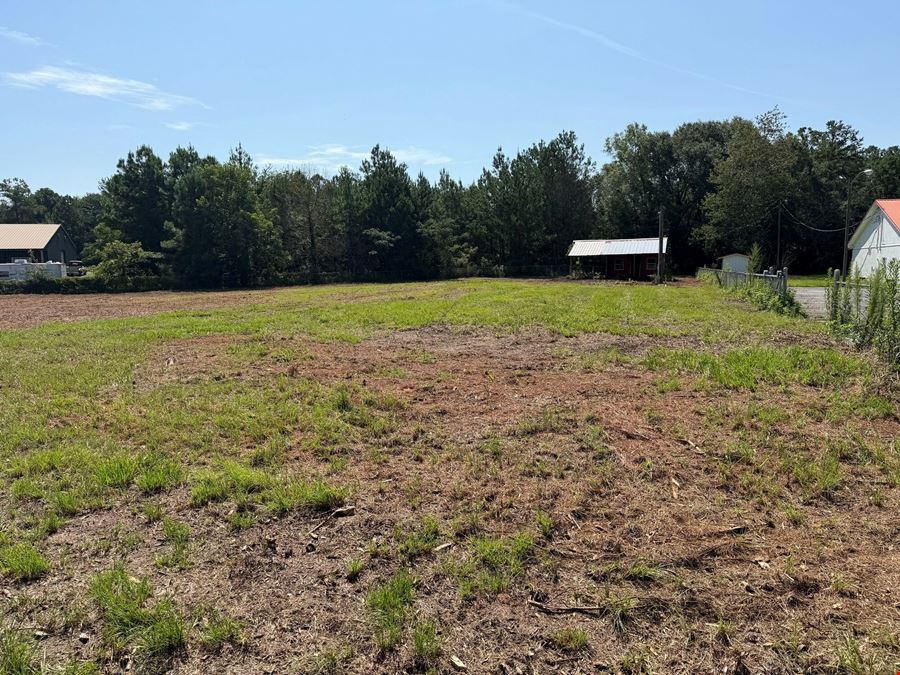 South 319 - Thomasville Hwy Beachton Ga.