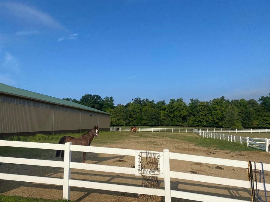 Pleasant View Farm