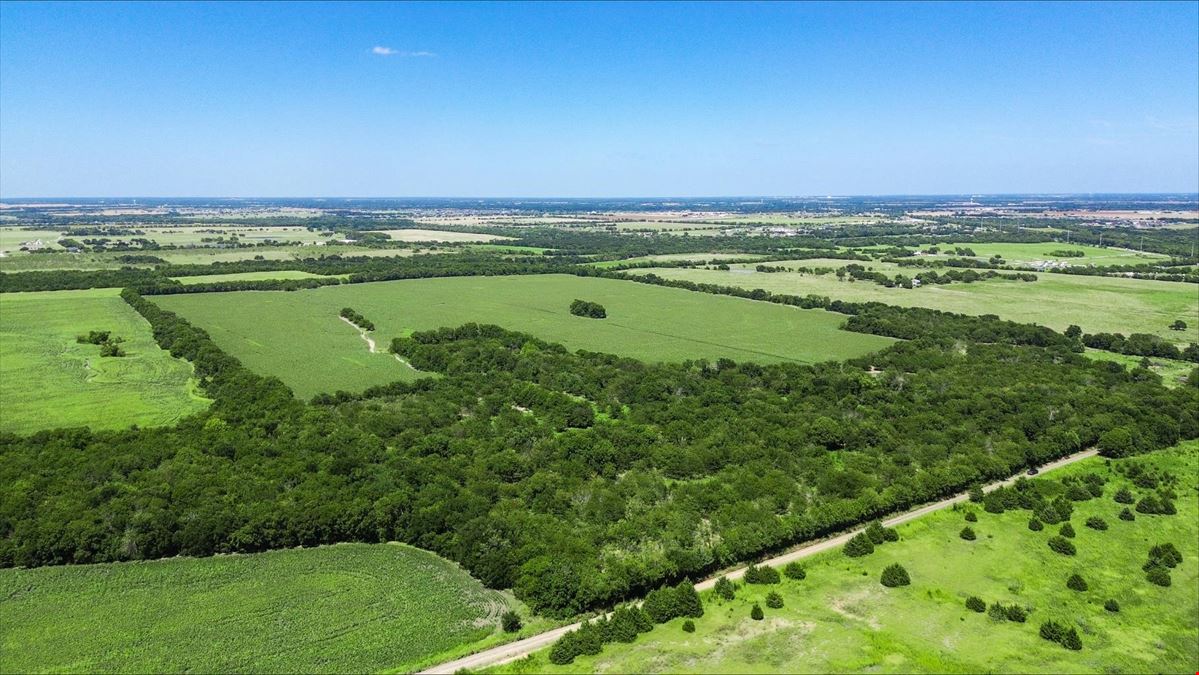 110 Acres for Sale in Royse City