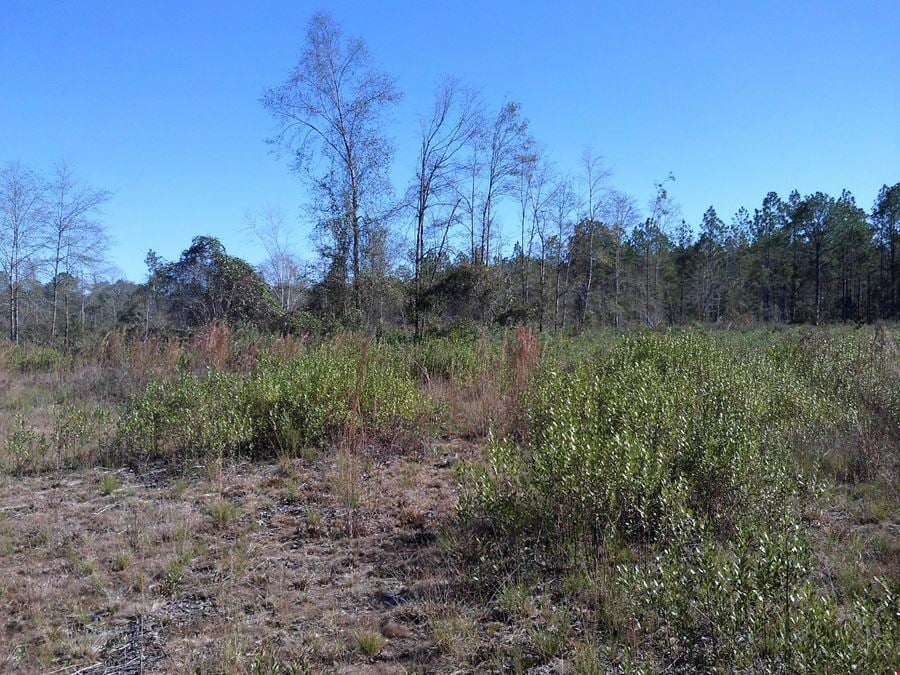 203 Acres in Valdosta