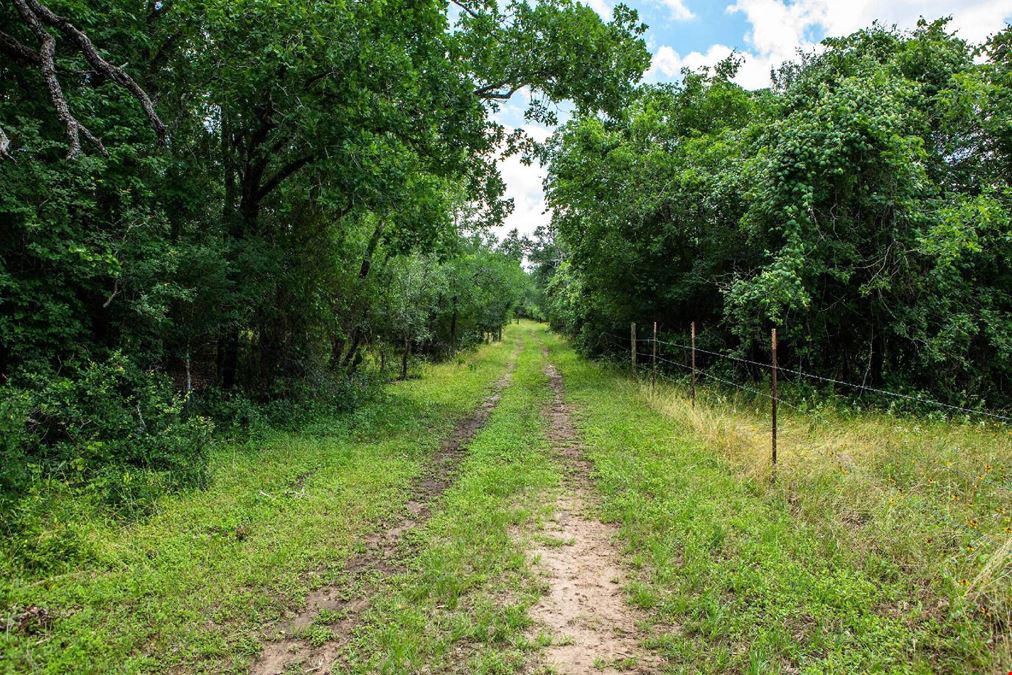 S US Highway 183