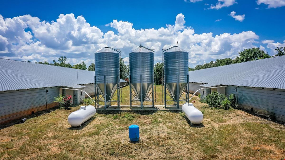 Mena AR Broiler Chicken Farm