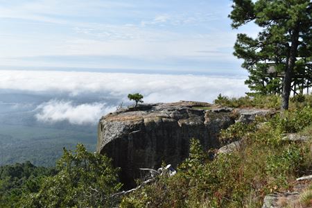 Preview of VacantLand space for Sale at Top Of Spring Mountain