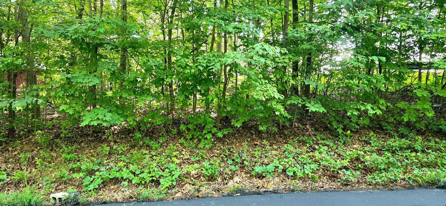 Rosie Gayle Drive NE