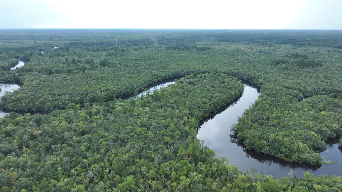 Camden Satilla River Tract