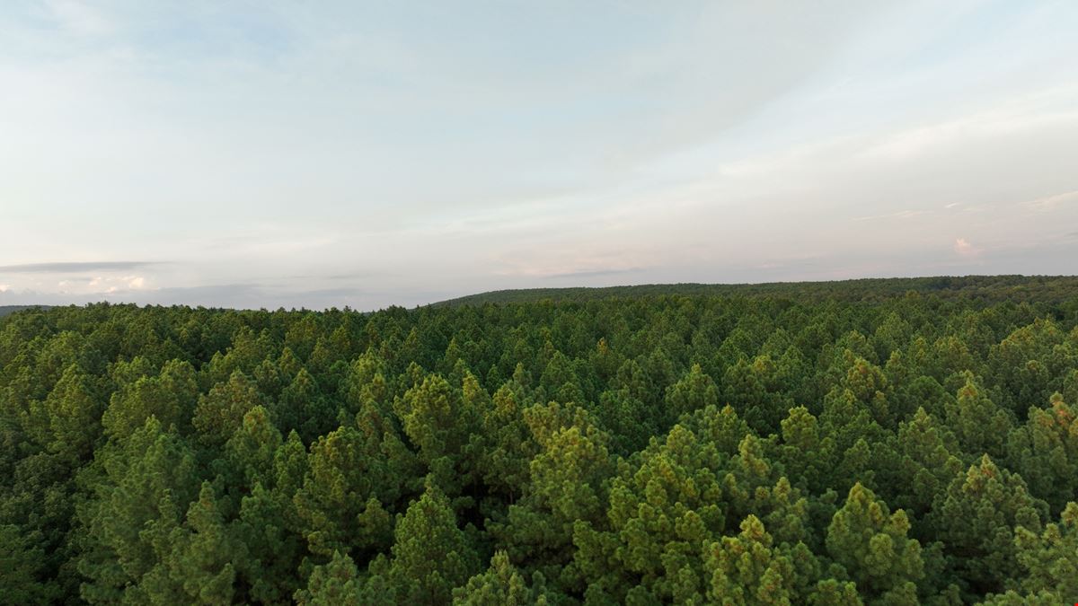 380 Acres in Crawford County Arkansas