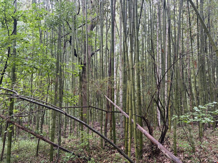 Highway 20 - 131.12 Acres