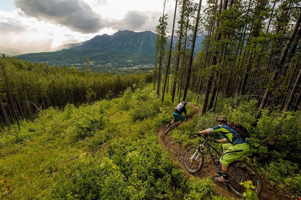 Alpine Trail and Burma Road