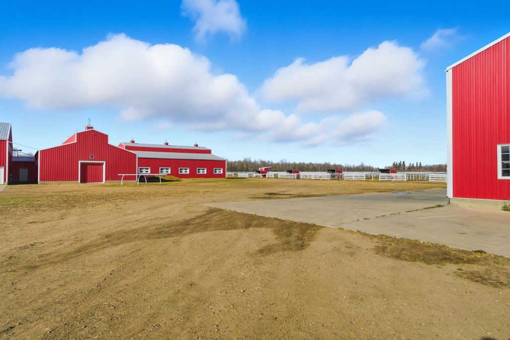 World-Class Equestrian in Central Alberta (Canada)