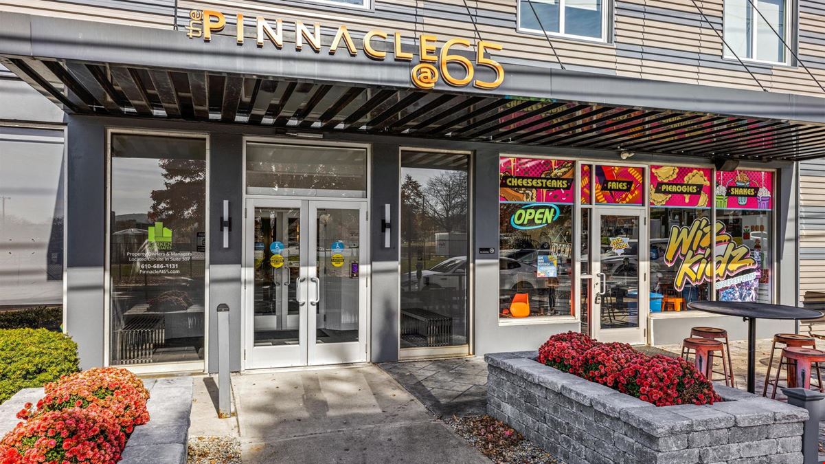 The Pinnacle @ 65