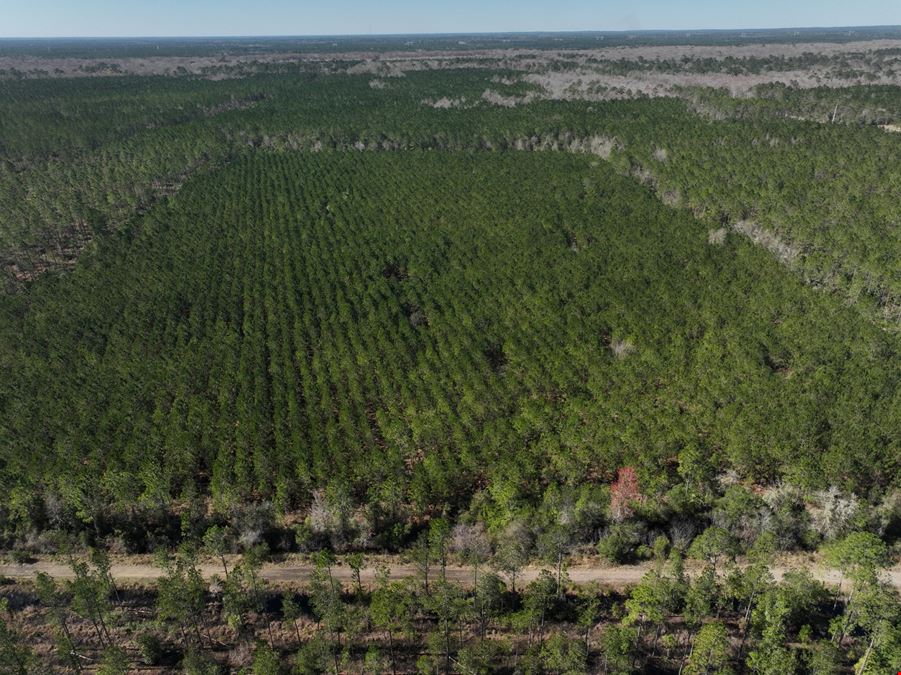 Palatka 356 Ac Development Tract
