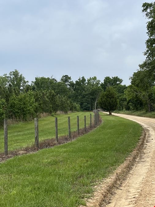 182 Acres Timberland with Cabin & Ponds