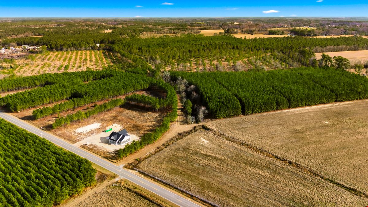 Development Opportunity - 127 Acres, Loris, SC