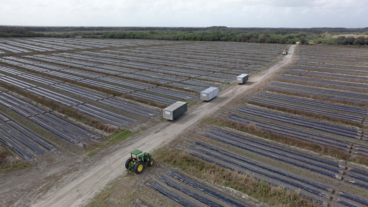 Owl Hammock Farms