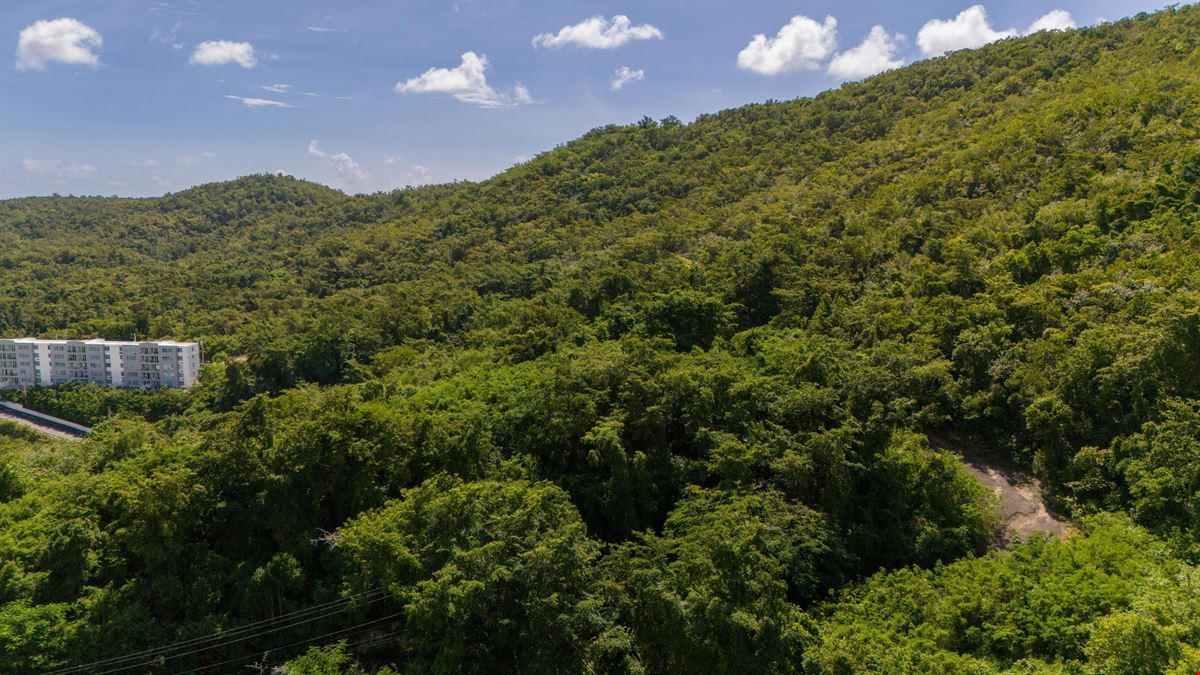 Ponce Agricultural 18.36 Acre Land @ Canas Ward - For Sale