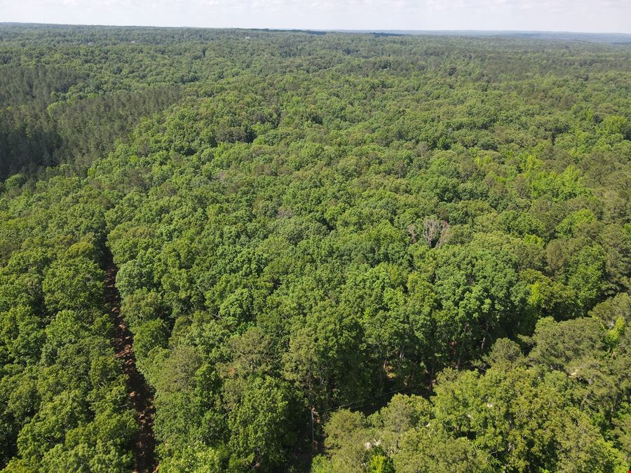 713.08 Acres - Chattahoochee Meadows