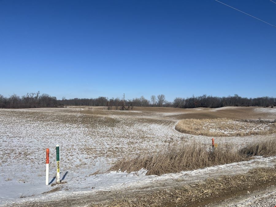 49.86 Acres AG Vacant Land in Chelsea