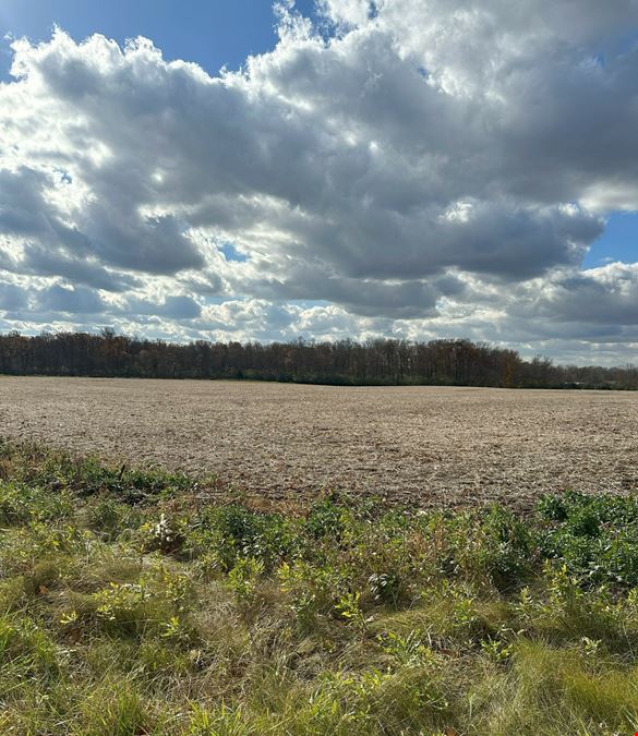84 Acres Land for Sale - Ann Arbor Twp