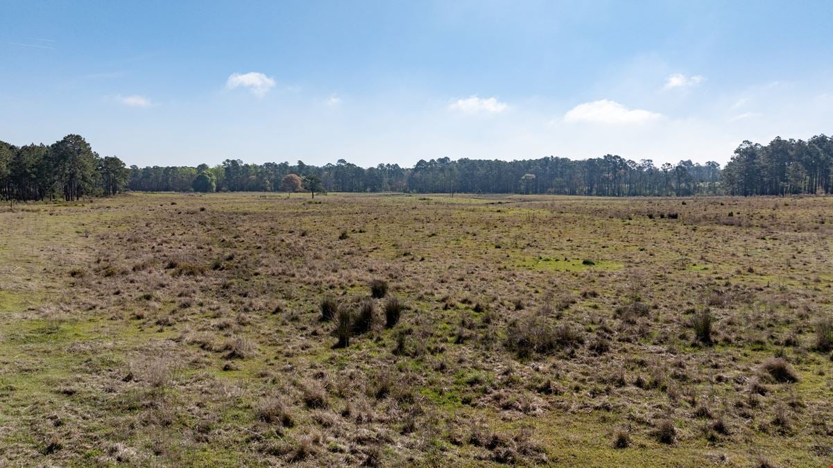 Lost Farm