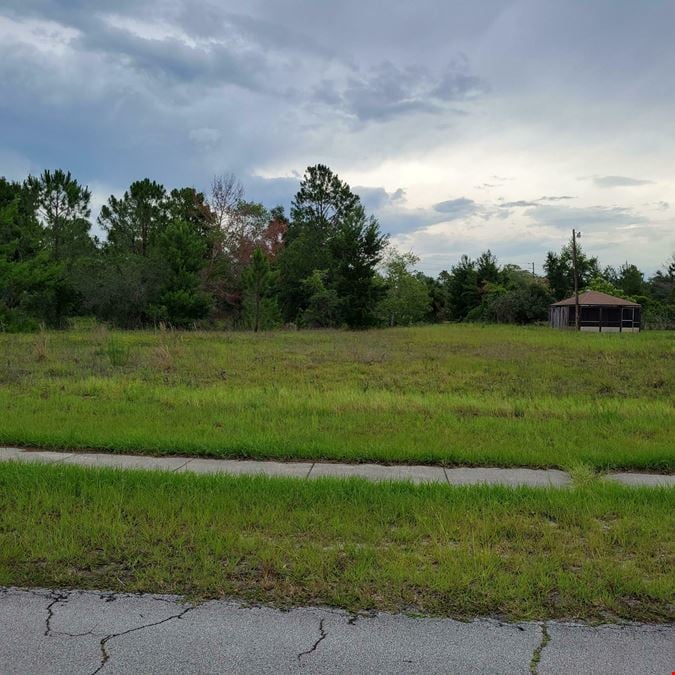Clear, Level Lot for sale in Deltona